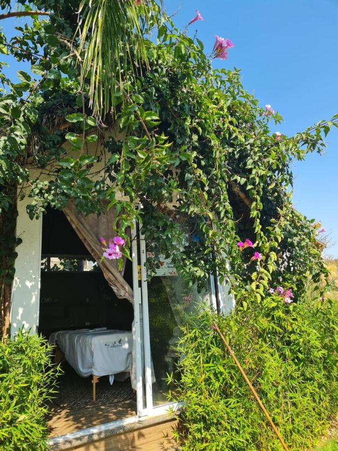 Hotel Villas Mariposas Atlixco Bagian luar foto